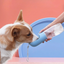 Botella Portátil de Agua para Perros
